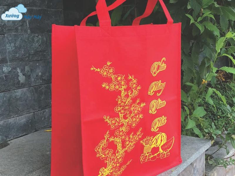 mẫu túi vải không dệt đựng lịch