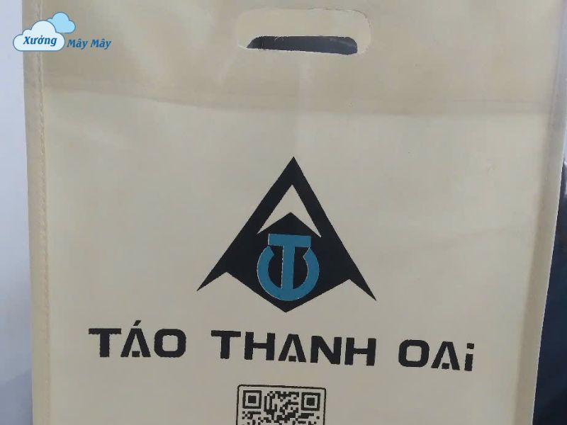 sản xuất túi vải không dệt in logo tphcm
