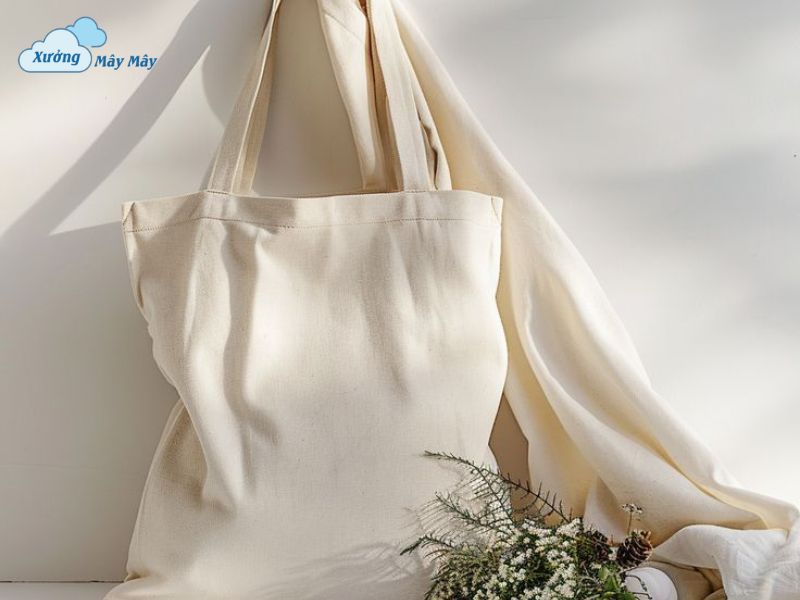 tote bag là túi gì​