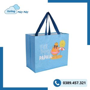 túi pp dệt dạng hộp