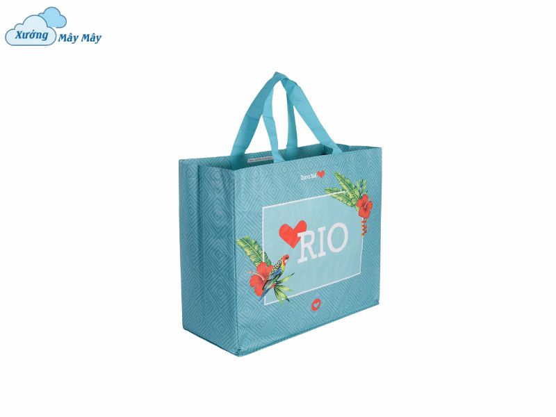 túi pp dệt dạng hộp hà nội