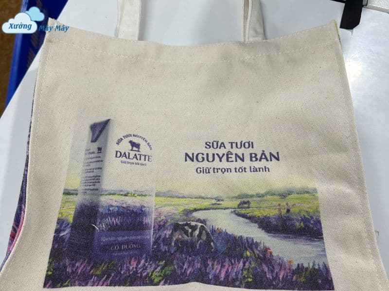 túi vải canvas hình hộp in hình