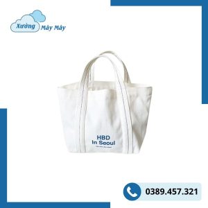 túi vải canvas hình hộp rẻ