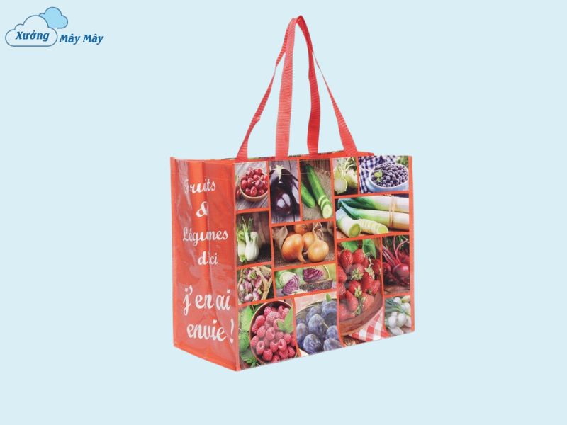 túi vải không dệt có dây kéo thiết kế theo yêu cầu