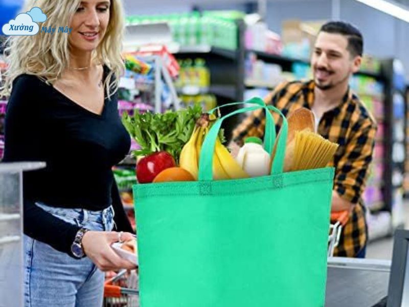 túi vải không dệt đi chợ giá sỉ