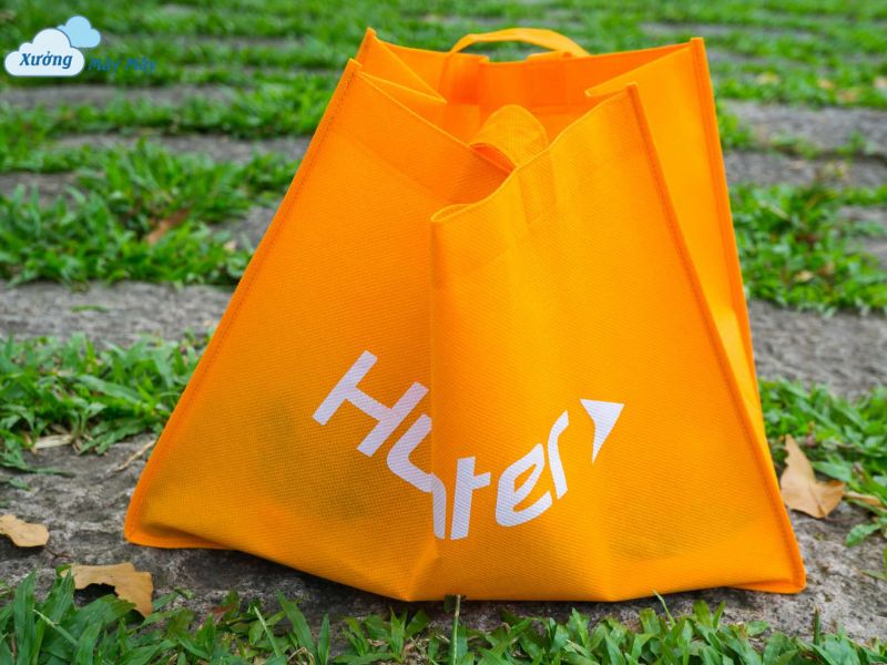 túi vải không dệt đựng giày in logo