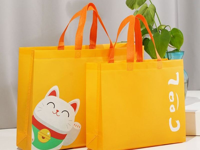 túi vải không dệt đựng quần áo tphm túi vải không dệt đựng quần áo tphm
