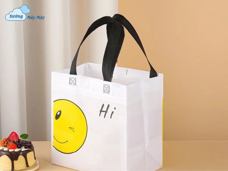 túi vải không dệt in hình