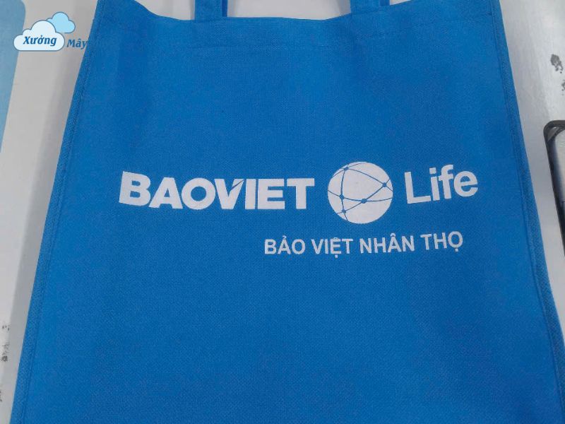 túi vải không dệt in logo hà nội
