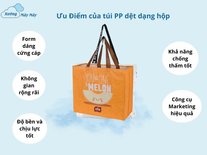 ưu điểm của túi pp dệt dạng hộp