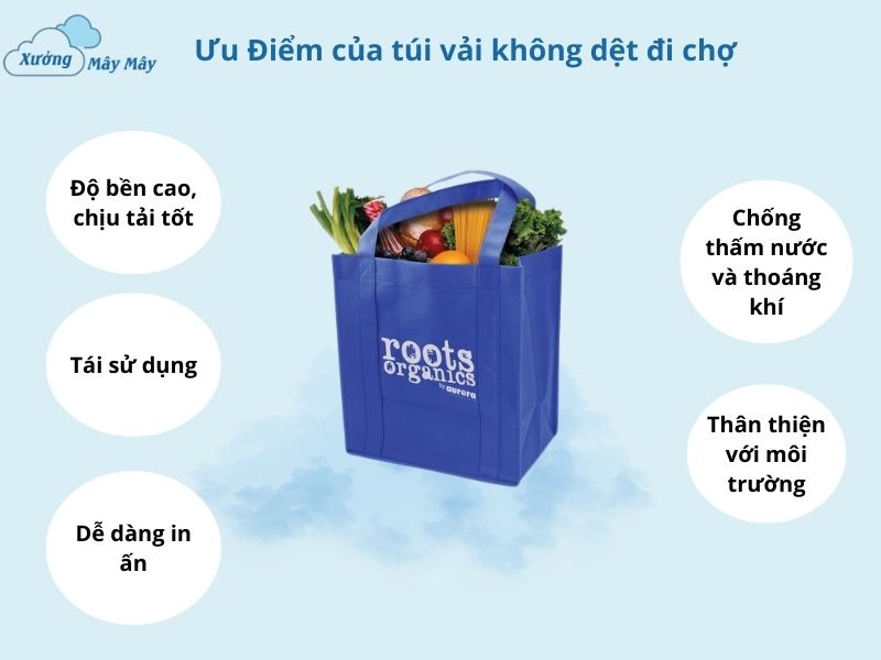 ưu điểm túi vải không dệt đi chợ