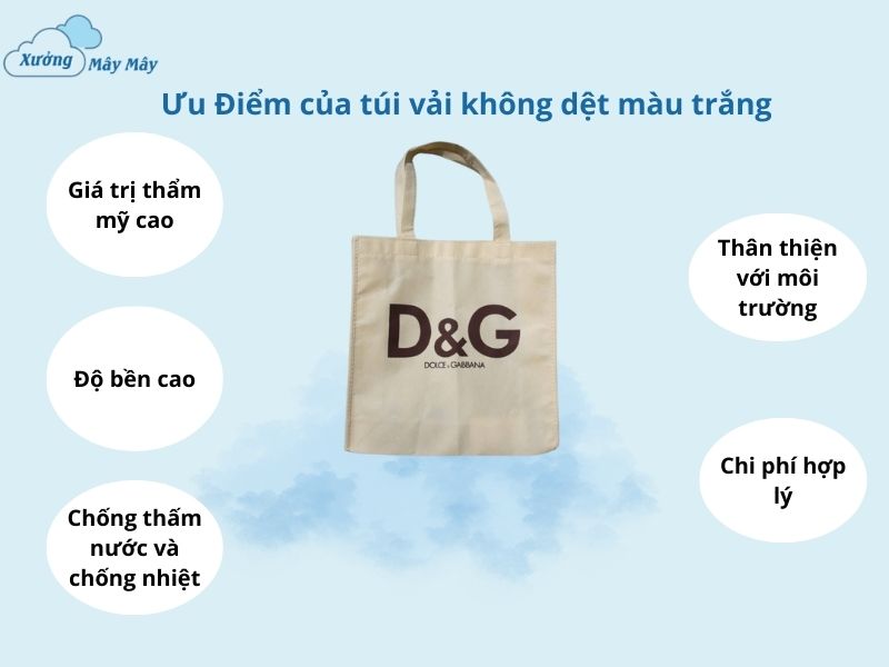 ưu điểm túi vải không dệt màu trắng