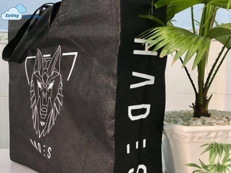mẫu túi vải không dệt hình hộp mẫu túi vải không dệt hình hộp