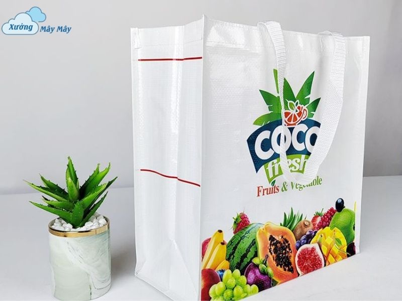 túi pp dệt siêu thị tphcm