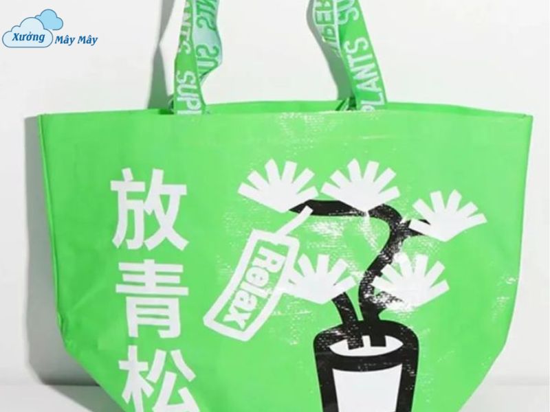 túi vải không dệt dáng dẹp đẹp