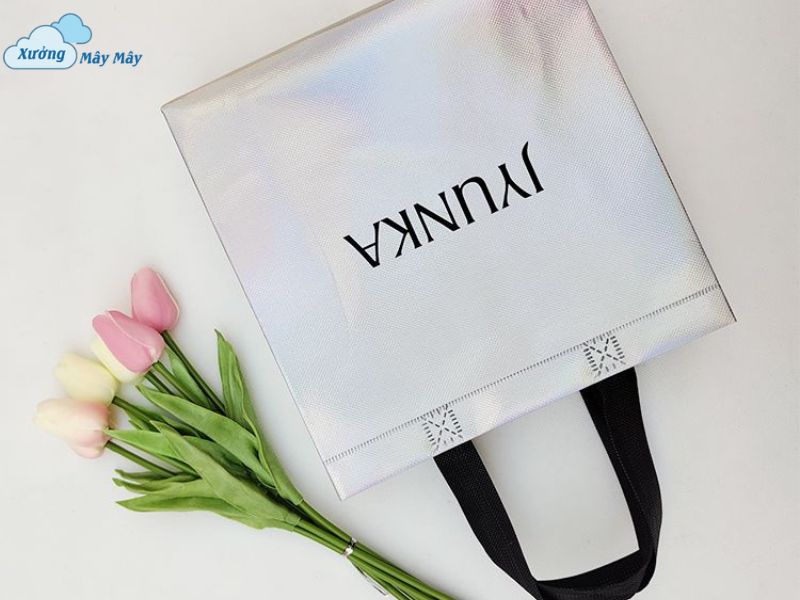 túi vải không dệt dáng dẹp in logo