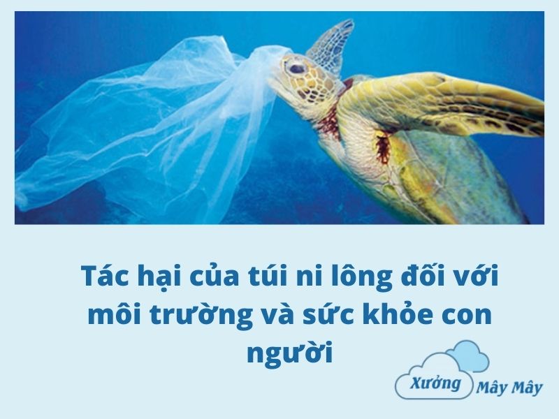 tác hại của túi ni lông