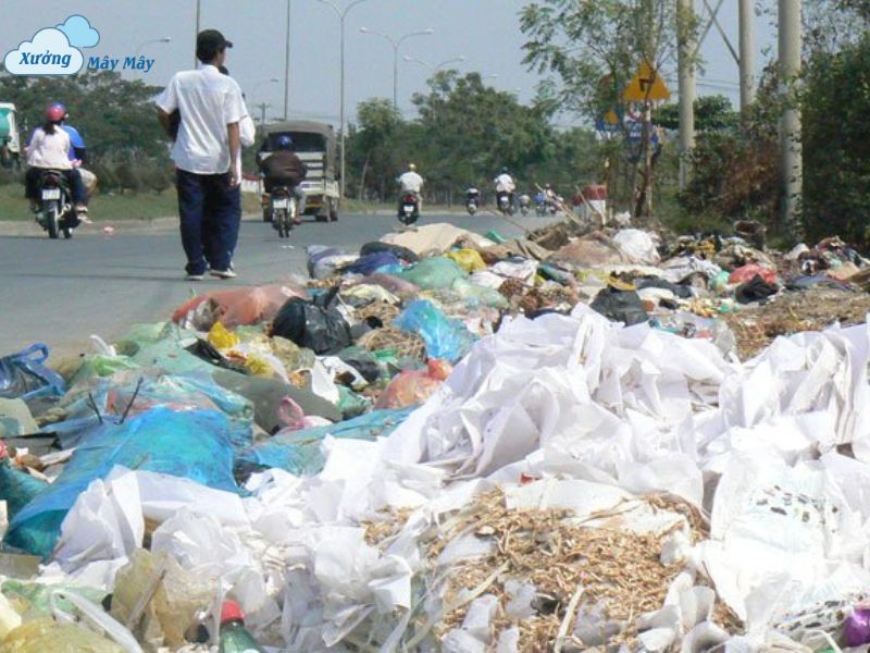 tac hai cua tui ni long doi voi moi truong va suc khoe con nguoi tác hại của túi ni lông đối với môi trường và sức khỏe con người