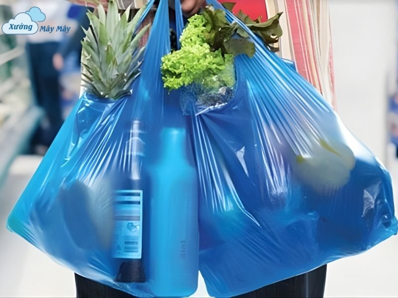tac hai cua tui ni long Tác hại của túi ni lông