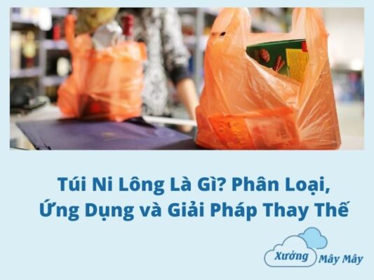tui ni long la gi