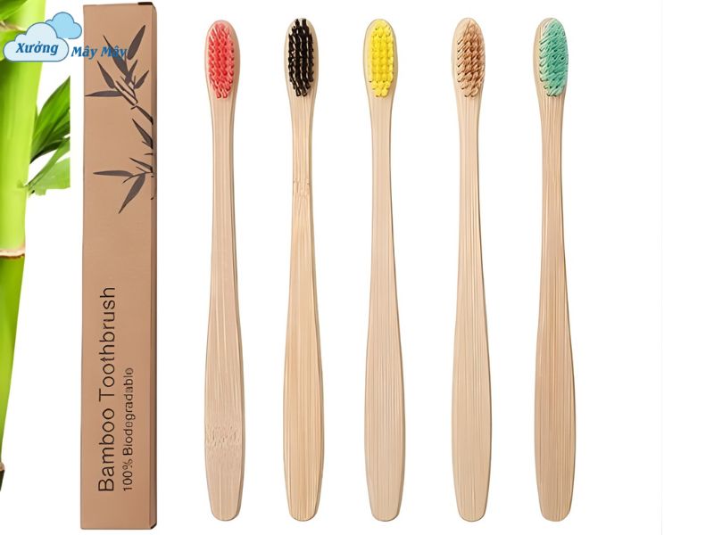 cong ty san xuat san pham than thien moi truong cong ty san xuat san pham than thien moi truong