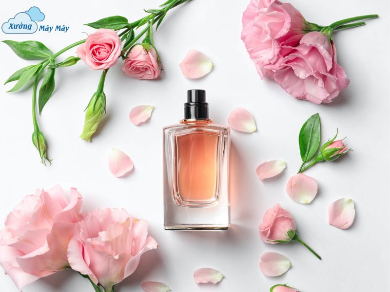 mua qua gi tang me sinh nhat mua qua gi tang me sinh nhat