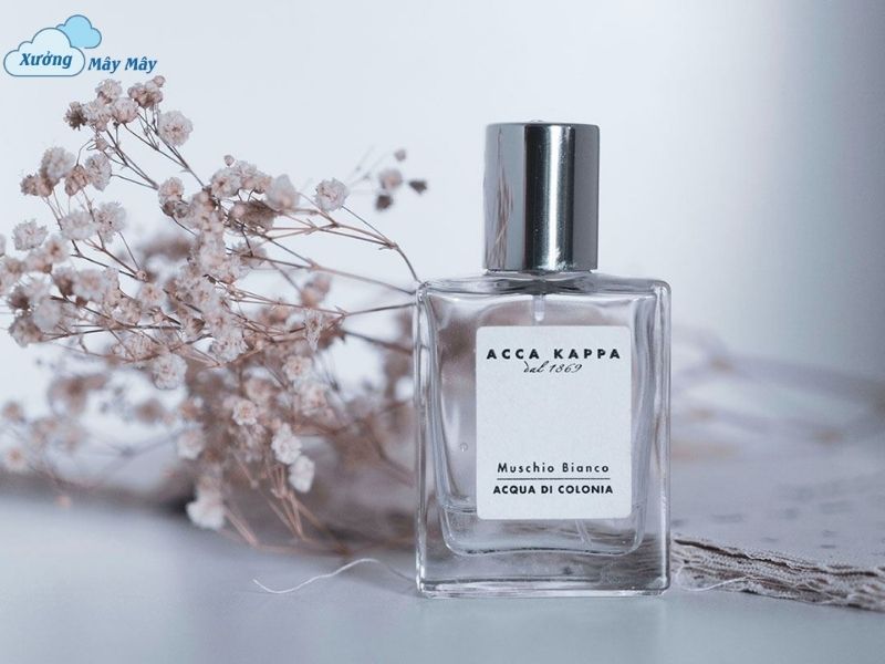 qua tang vo sinh nhat qua tang vo sinh nhat