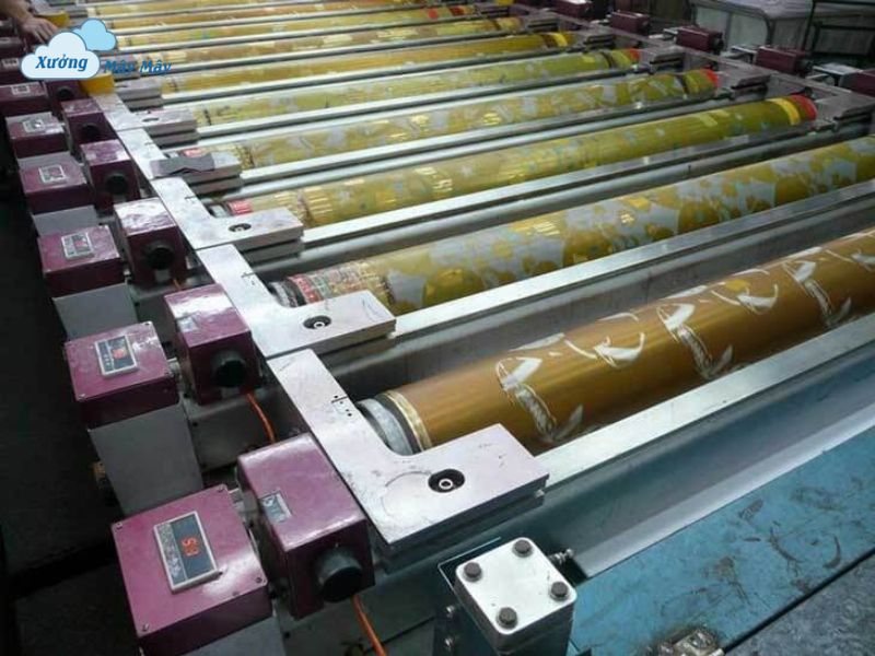 tui pp det gia re tui pp det gia re