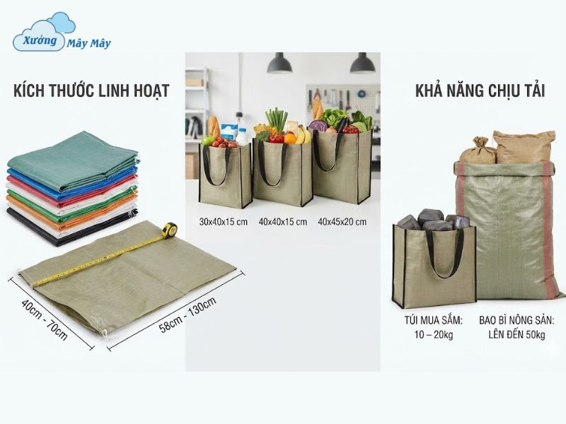 tui pp det la gi tui pp det la gi