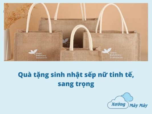 qua tang sinh nhat sep nu